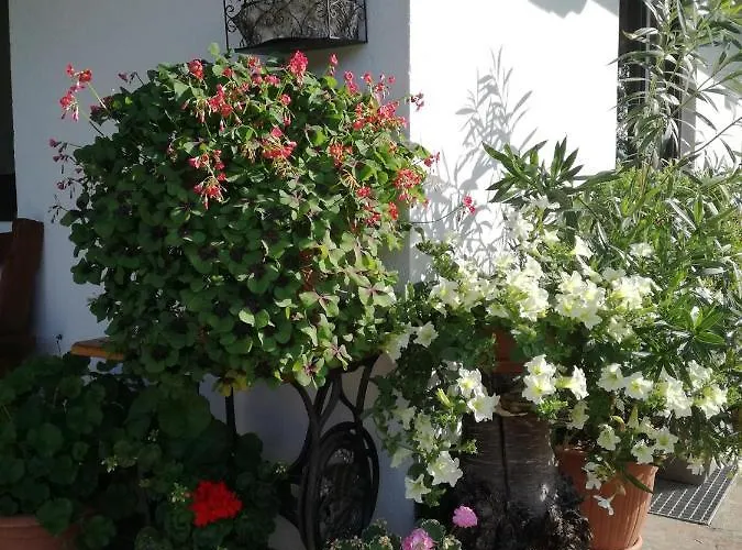 Haus Johanna Apartment Westendorf