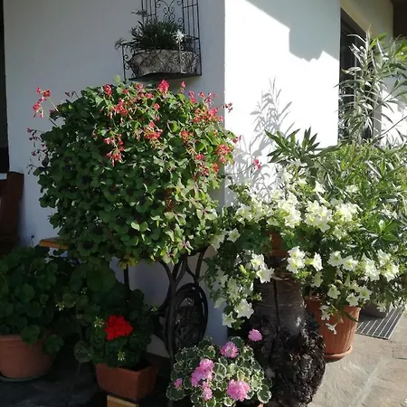 Haus Johanna Lejlighed Westendorf